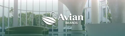 Header_-_PT_Avia_Avian_Tbk
