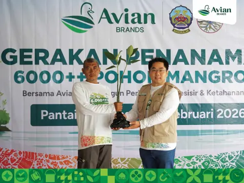 avian-brands-tanam-lebih-dari-6000-pohon-mangrove-untuk-penguatan-ekosistem-pesisir-1