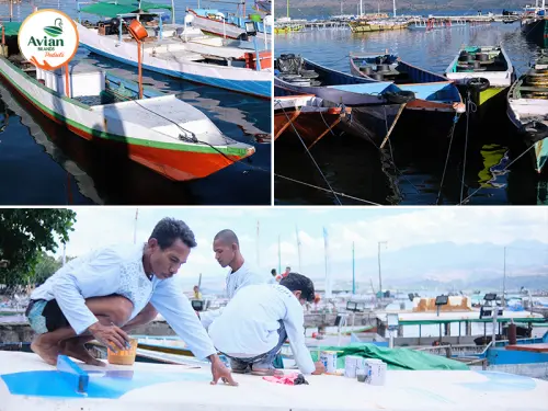 keberlanjutan_artikel_Artikel_PETIK_LAUT_Bima
