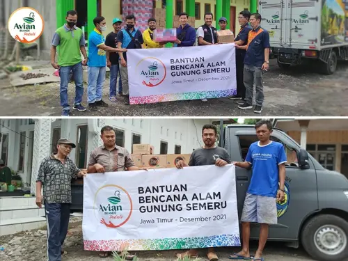 keberlanjutan_artikel_Image_CSR_Gunung_Semeru