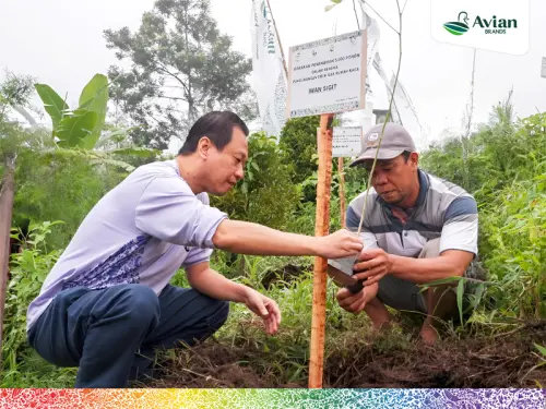 pt-avia-avian-tbk-lakukan-penanaman-pohon-untuk-dukung-pencapaian-target-penyerapan-karbon_cover